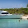 A luxury catamaran sits anchored on a beach while passengers lounge on board and swim in the water